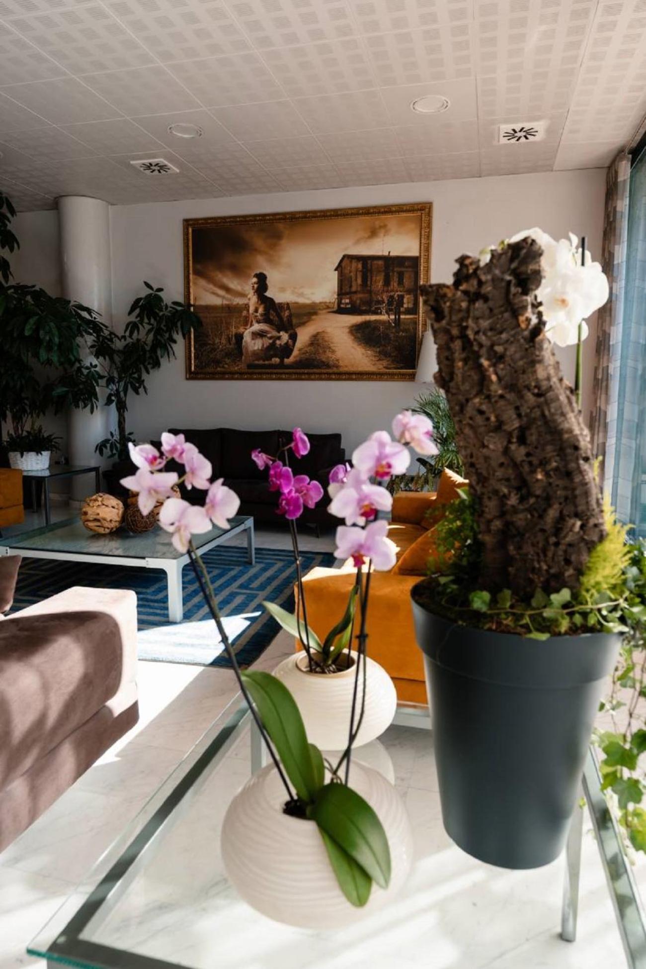 Hotel Ristorante I Castelli Alba  Esterno foto